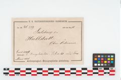 Foto von Keramikschüssel (NHMW-PRAE-048339)